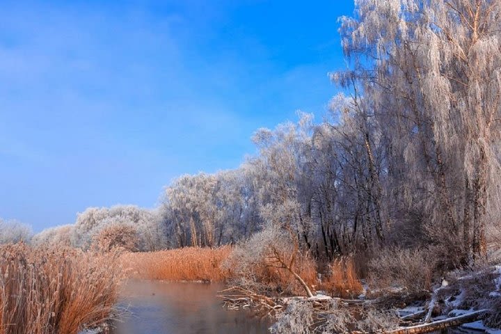 Half-Day Photo Tour in Zalissya National Nature Park image