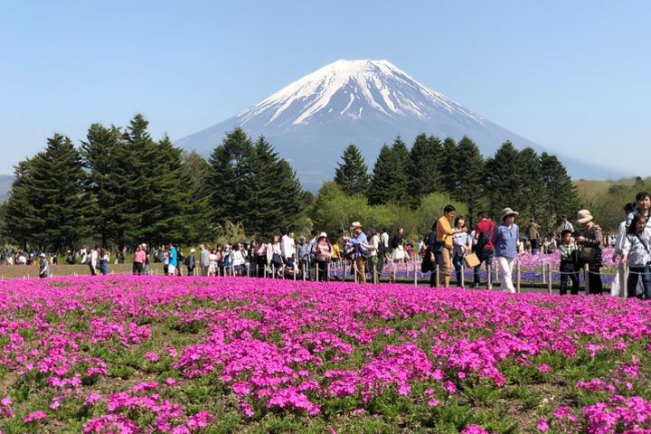 1 Day Private Mt Fuji Sightseeing Tour Car/Van with “English Speaking Driver” image