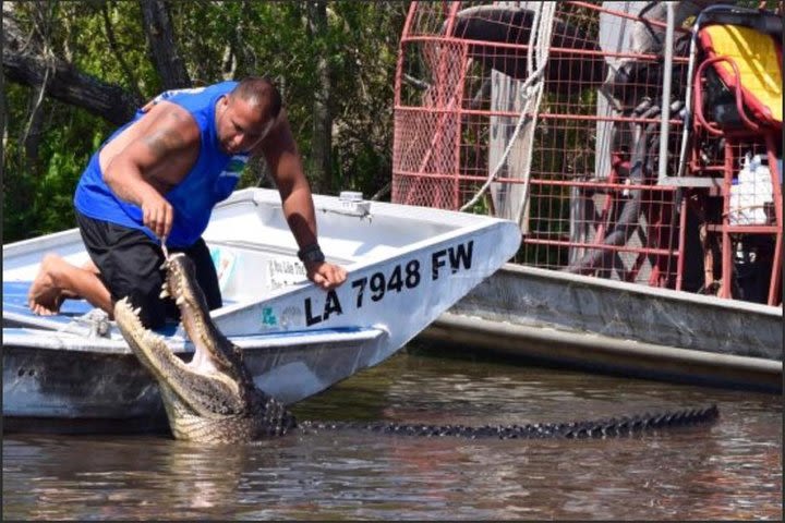 Private Bachelor or Bachelorette Airboat Swamp Tour in New Orleans image