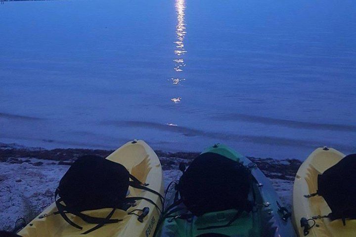 Bioluminescence Night Kayaking Tour of Merritt Island Wildlife Refuge image