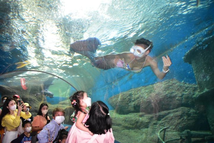 Underwater World Pattaya Aquarium Journey Ticket image