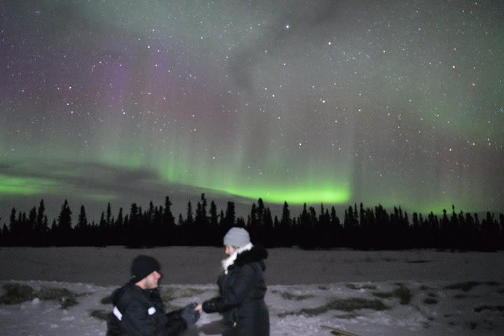 Fairbanks Evening Aurora Viewing Tour image