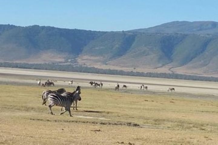 Tanzania Day Tour to Ngorongoro Crater- Lowest Price image