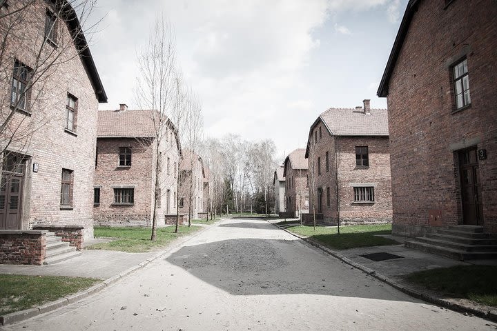 Auschwitz Birkenau guided tour from Krakow private chauffeur image