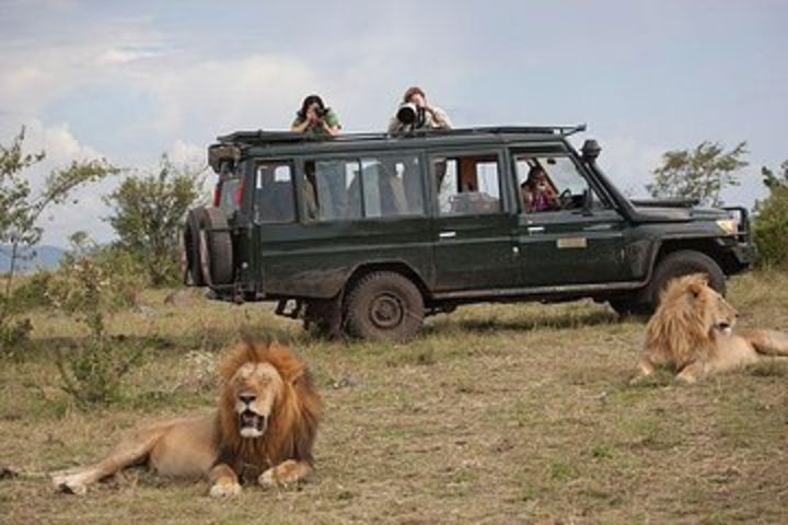 Lake Manyara National Park Full-day Tour image