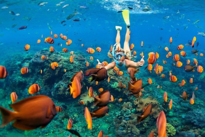 Bali Blue Lagoon Snorkeling Adventure image