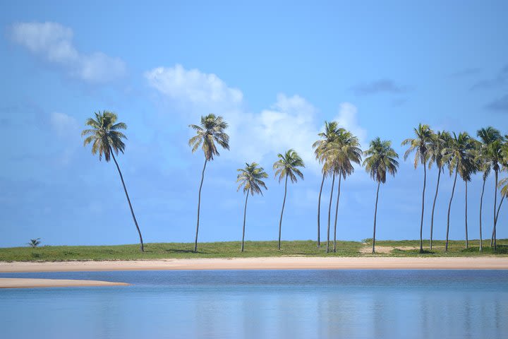 Costa de Camaçari Beach and Praia Tour image