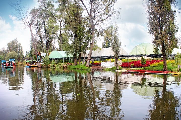 Mexico City: Xochimilco, Coyoacán and University City Tour  image