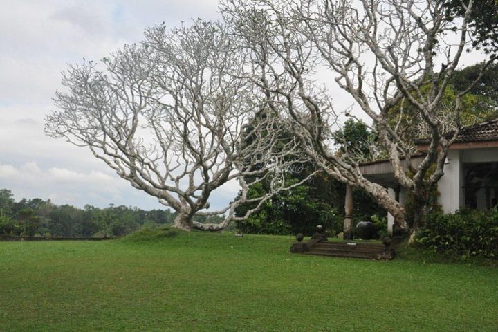 Bentota City Tour from Negombo image