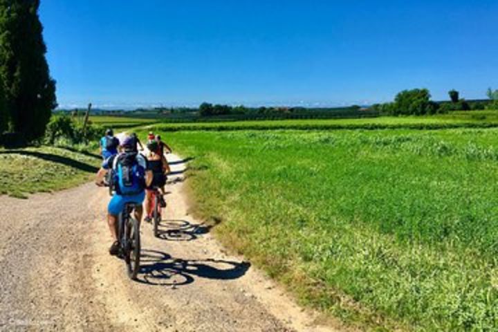 Bike tour Between the Vineyards and Wine Tasting in Lazise image