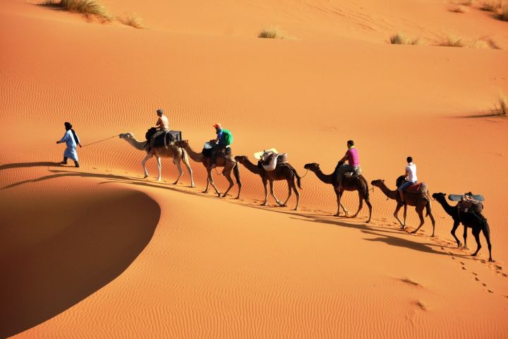 7 Days Desert tour from Casablanca image