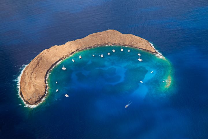 Molokini & Turtle Arches Snorkel image