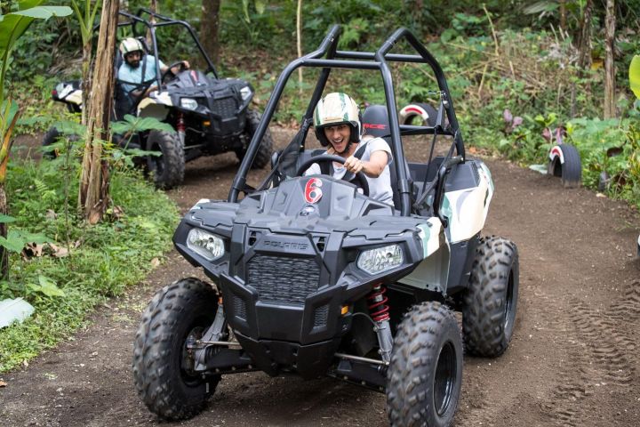 Jungle Buggy Adventure and Ubud Tour image