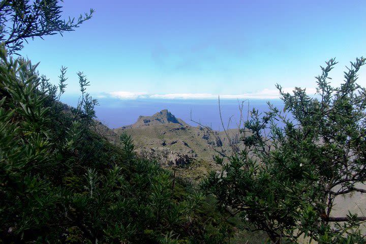 Masca from above image