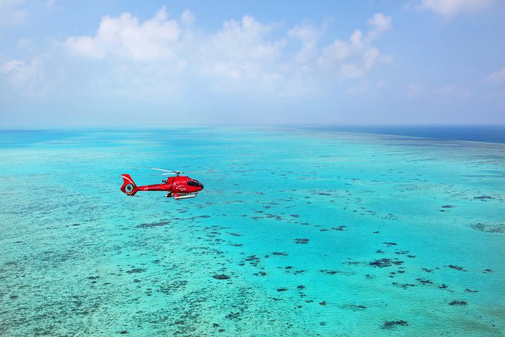 Port Douglas - Cruise and 10 Minute Scenic Flight image