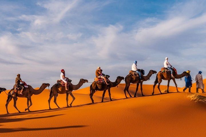 1 night camel trekking in Merzouga image