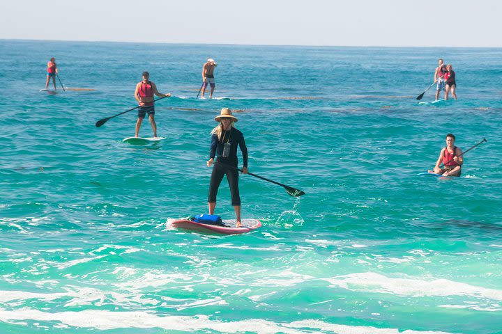 Laguna Beach SUP Lesson and Tour image