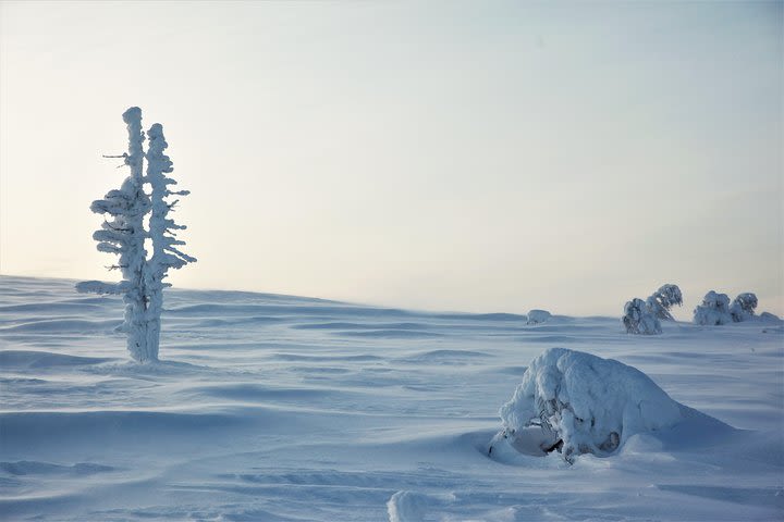 2 hour snowmobile tour  image