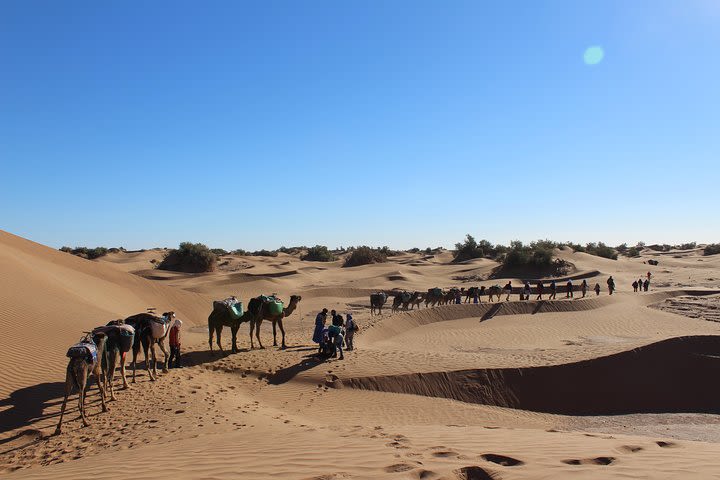 4x4 private tour of the South of Morocco image