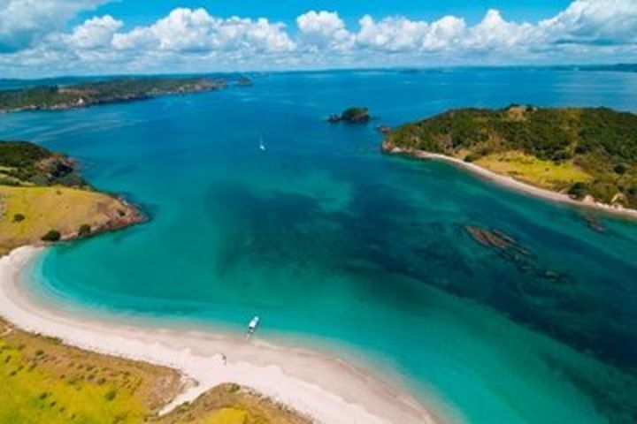 Group tour to Bay of Islands return from Auckland image