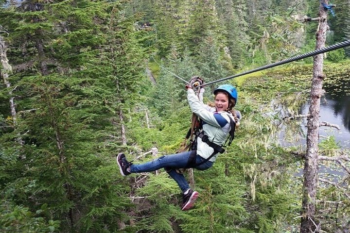 Stoney Creek Canopy Adventure image