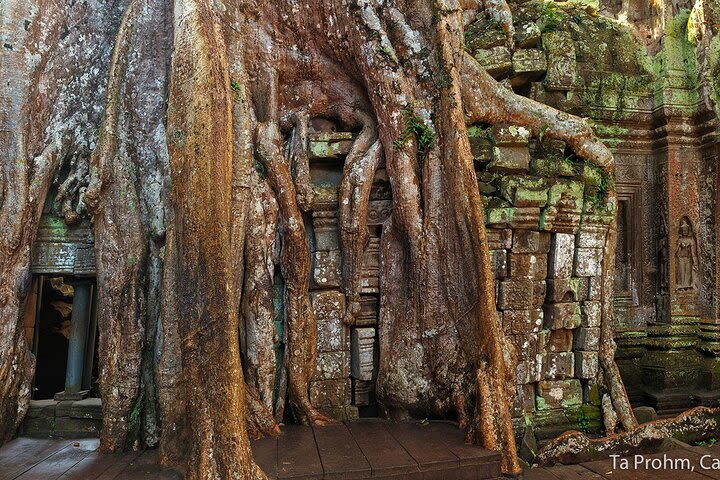 Sunrise Angkor Wat Small Group Experience  image