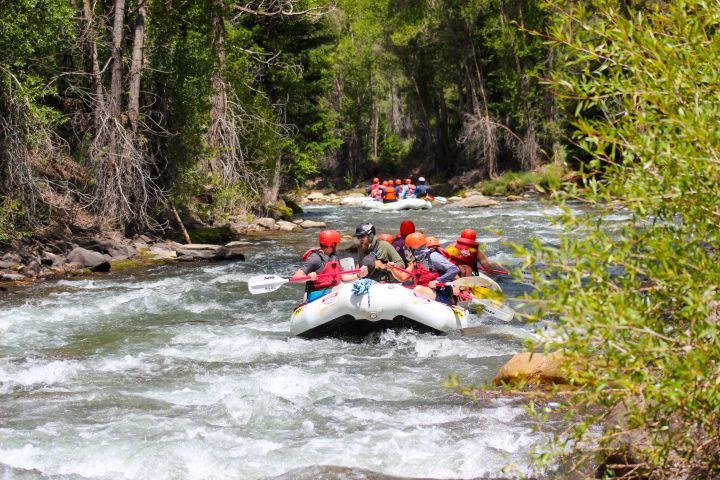 Telluride 1 Day Rafting Trip with Lunch - San Miguel River image