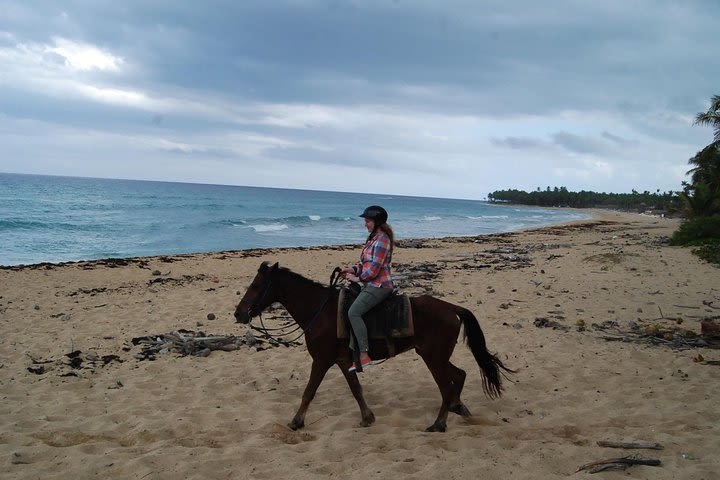 Punta Cana Horseback Riding on the Beach image