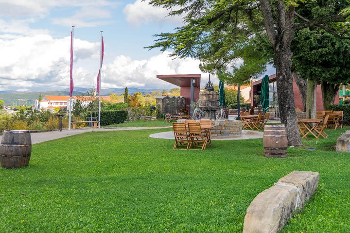 Wine Fountain Tour from Koper image