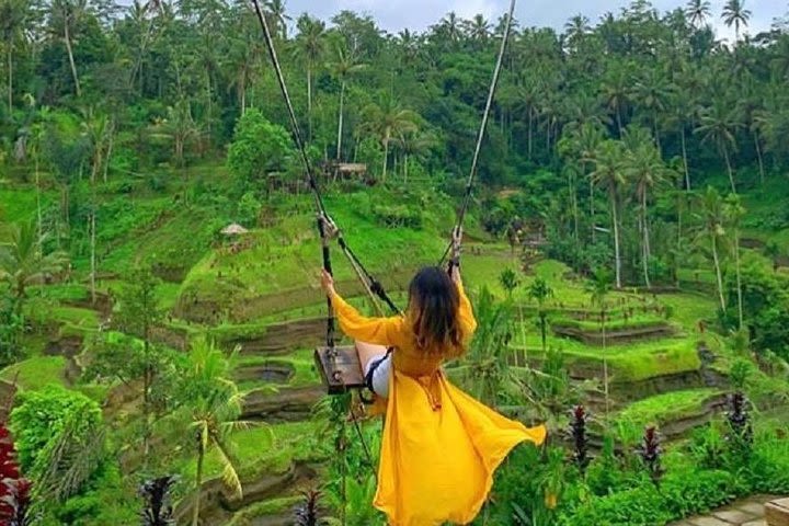 Full Day : Tibumana Waterfall - Rice Terrace - Water Temple - Jungle Swing  image