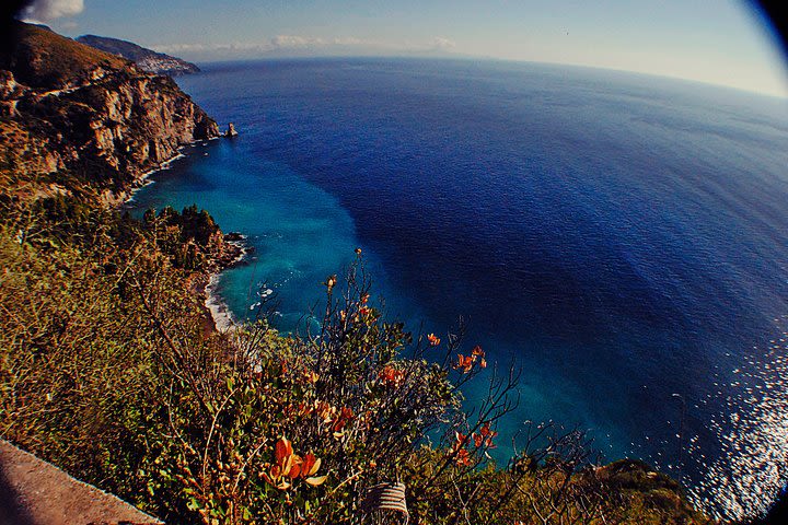 Private Tour Pompeii Sorrento and Positano image