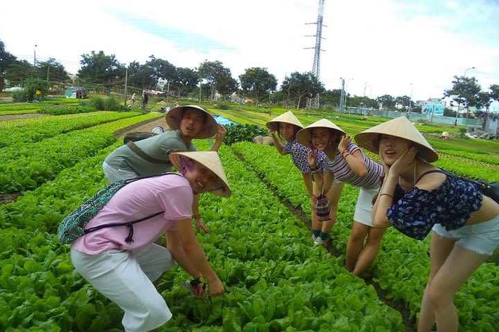 Hoi An Countryside - Buffalo Riding - Basket Boat Rowing image