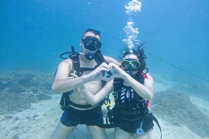 Try Scuba Diving & snorkeling with BBQ lunch & Transfer image