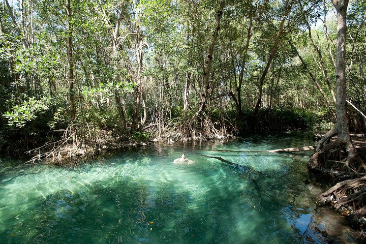 5 Days of Culture and Biodiversity in Yucatán in a 3 Star Hotel image