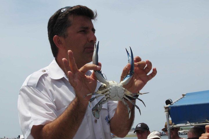 Dalyan Cruise: Iztuzu Beach, River Cruise and Mud Bath from Marmaris and Icmeler image