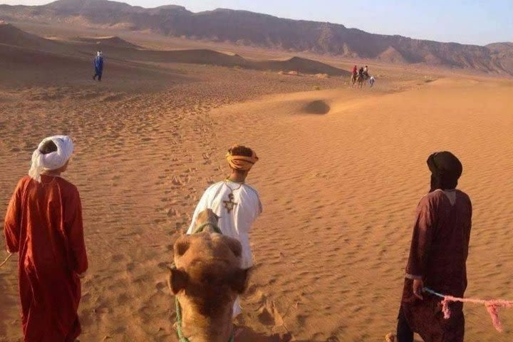 Desert Tours From Casablanca image