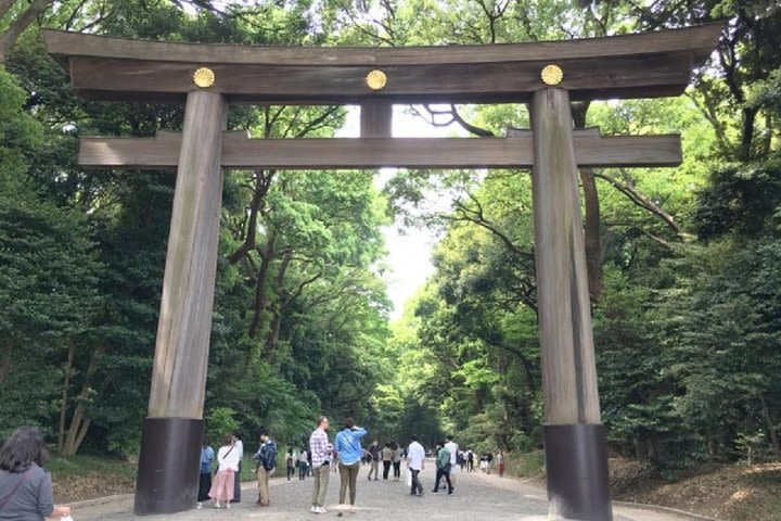 Meiji Jingu Shrine Half-day Tour by public transportation image