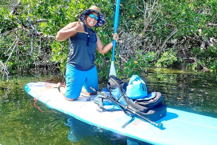 Mangrove SUP Safari image