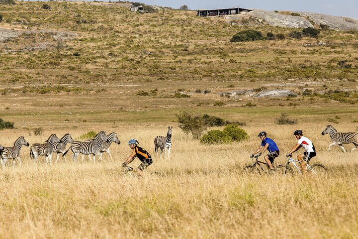 Safari Cycle and !Khwa ttu San Heritage Experience  image