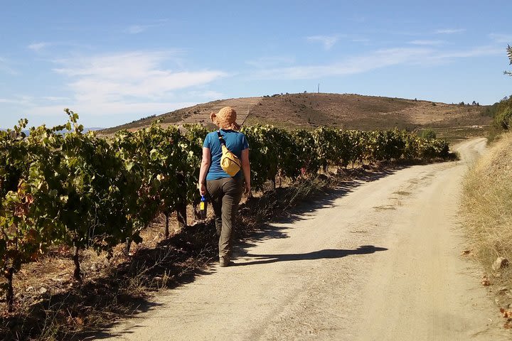 Hiking Tour at Douro Valley, with Picnic and wine tasting image