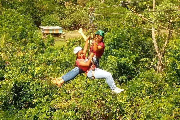 Zipline Plus Monkey and Sloth ,Chocolate And Rum Tasting  image