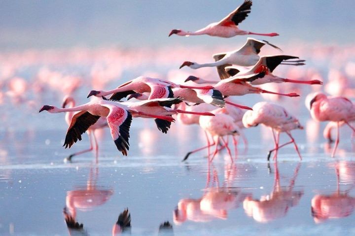 15-Day Zanzibar Adventure Tour image