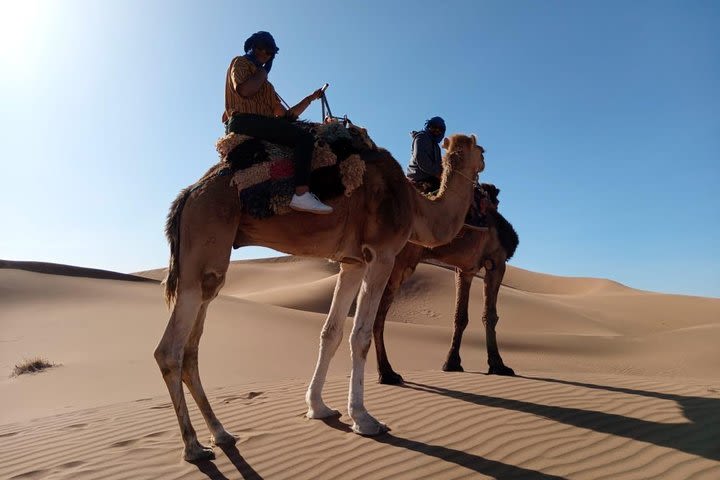 2 days Zagora Desert Tour from Marrakech image