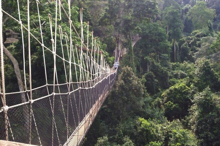 Private Tour of Kakum National Park and Cape Coast Castle image