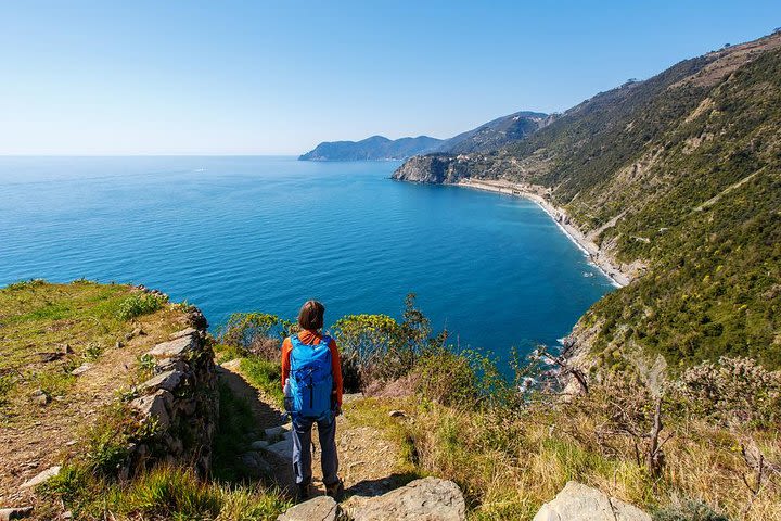 Cinque Terre hiking tour from Florence image