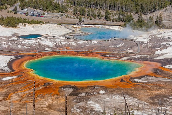 Yellowstone Lower Loop Guided Tour from Cody, Wyoming image