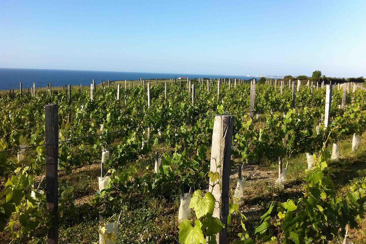 San Sebastian: French Basque Coast - Biarritz and San Juan de Luz - PREMIUM image