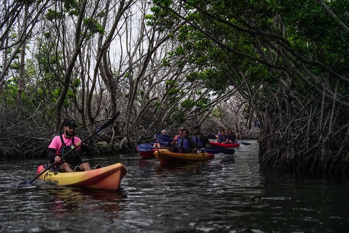 Private Bio Bay Kayaking Adventure image