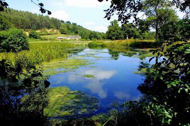 Castro De Viladonga Y Nacimiento Del Rio Miño Desde Lugo image