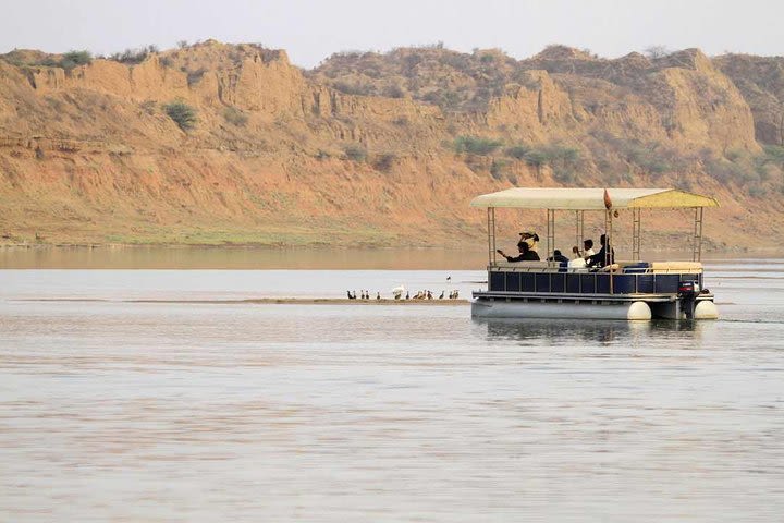 Private 2-Days Ranthambore Wildlife Safari Tour From Jaipur with Chambal Trip image
